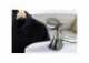 Russell Hobbs Steam Genie Aroma 28040-56, napařovač oděvů