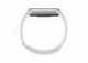 Chytrý náramek Xiaomi Smart Band 10, Glacier Silver