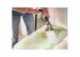 Bissell SpotClean C5 Pro 3931N