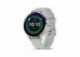 Chytré hodinky Garmin Venu 3S, Silver/Sage Gray Silicon band