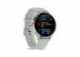 Chytré hodinky Garmin Venu 3S, Silver/Sage Gray Silicon band