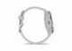 Chytré hodinky Garmin Venu 3S, Silver/Sage Gray Silicon band
