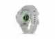 Chytré hodinky Garmin Venu 3S, Silver/Sage Gray Silicon band