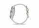 Chytré hodinky Garmin Venu 3S, Silver/Sage Gray Silicon band