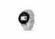 Chytré hodinky Garmin Venu 3S, Silver/Sage Gray Silicon band