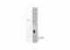 Extender TP-Link RE700X WiFi6