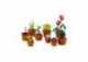 Miniaturní rostliny LEGO Botanicals 10329