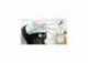 Bosch TAS114E Tassimo Style