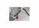 Rowenta IN5020F0 Clean It